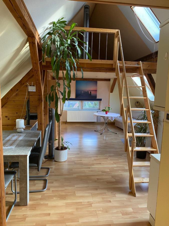 Helles Und Charmantes Loft Mit Herrlichem Blick 德累斯顿 外观 照片