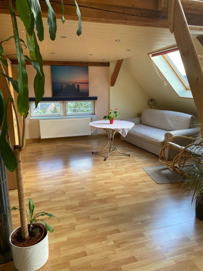 Helles Und Charmantes Loft Mit Herrlichem Blick 德累斯顿 外观 照片