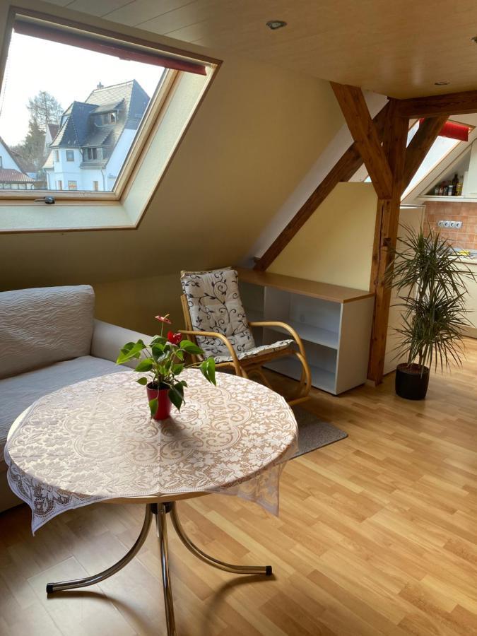 Helles Und Charmantes Loft Mit Herrlichem Blick 德累斯顿 外观 照片