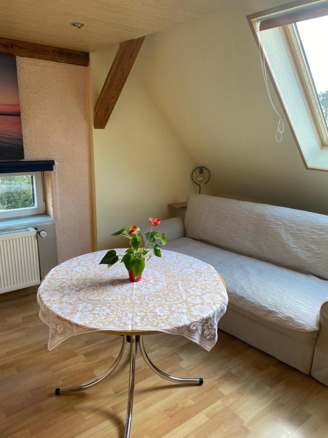 Helles Und Charmantes Loft Mit Herrlichem Blick 德累斯顿 外观 照片
