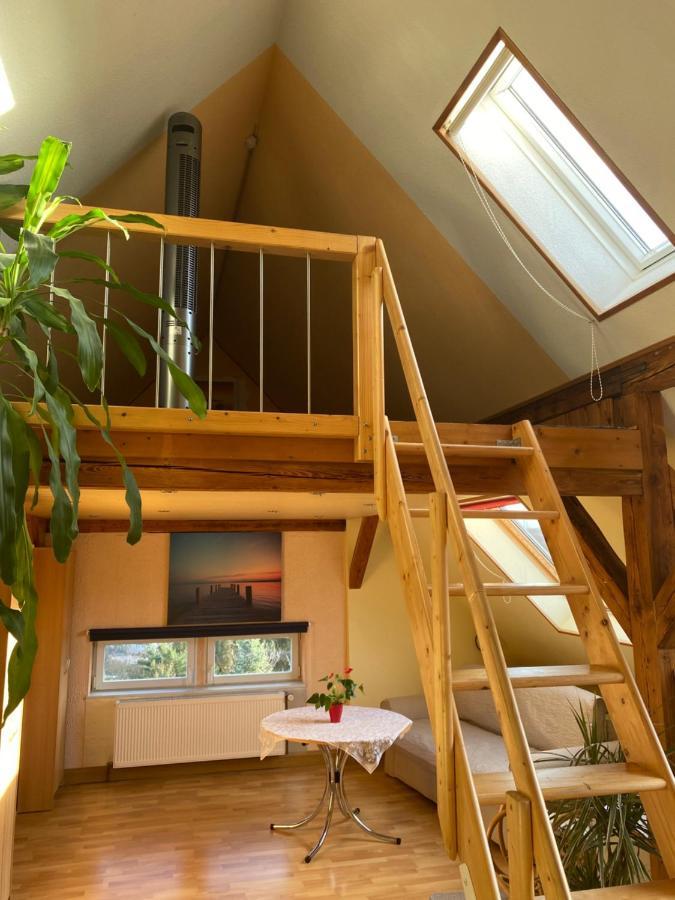 Helles Und Charmantes Loft Mit Herrlichem Blick 德累斯顿 外观 照片