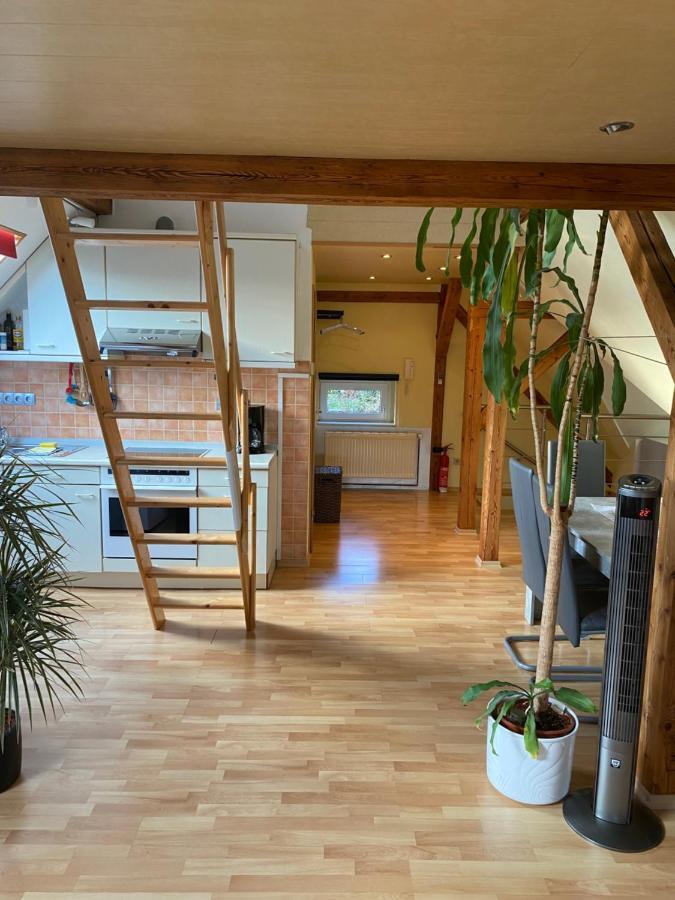 Helles Und Charmantes Loft Mit Herrlichem Blick 德累斯顿 外观 照片